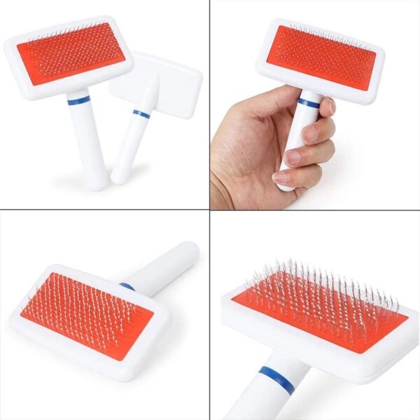 Plastic Brush in Pack