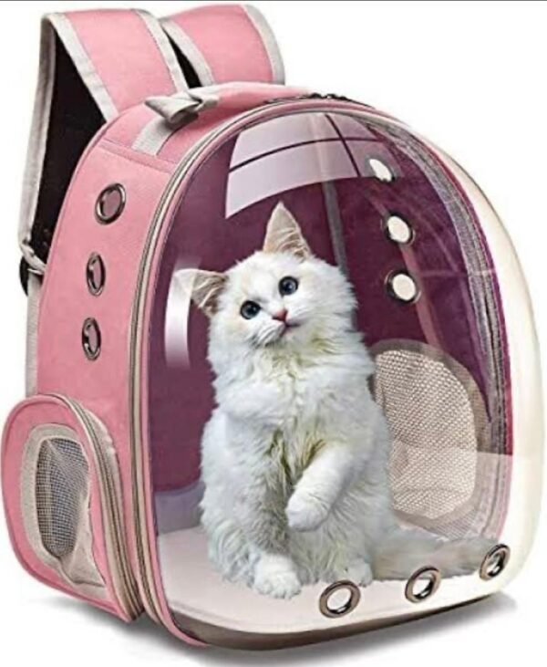 Portable Cat Carry Bag