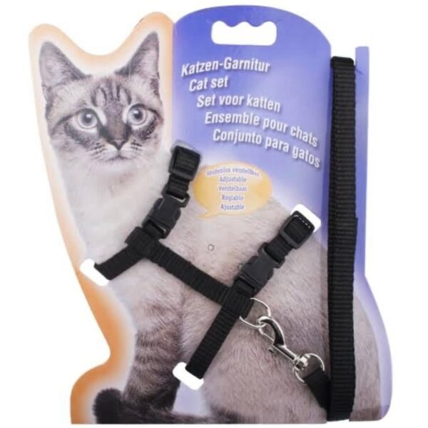 Cat Harness & Leash set