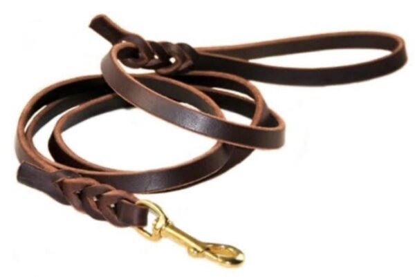 Dog Imported Leather Show leash